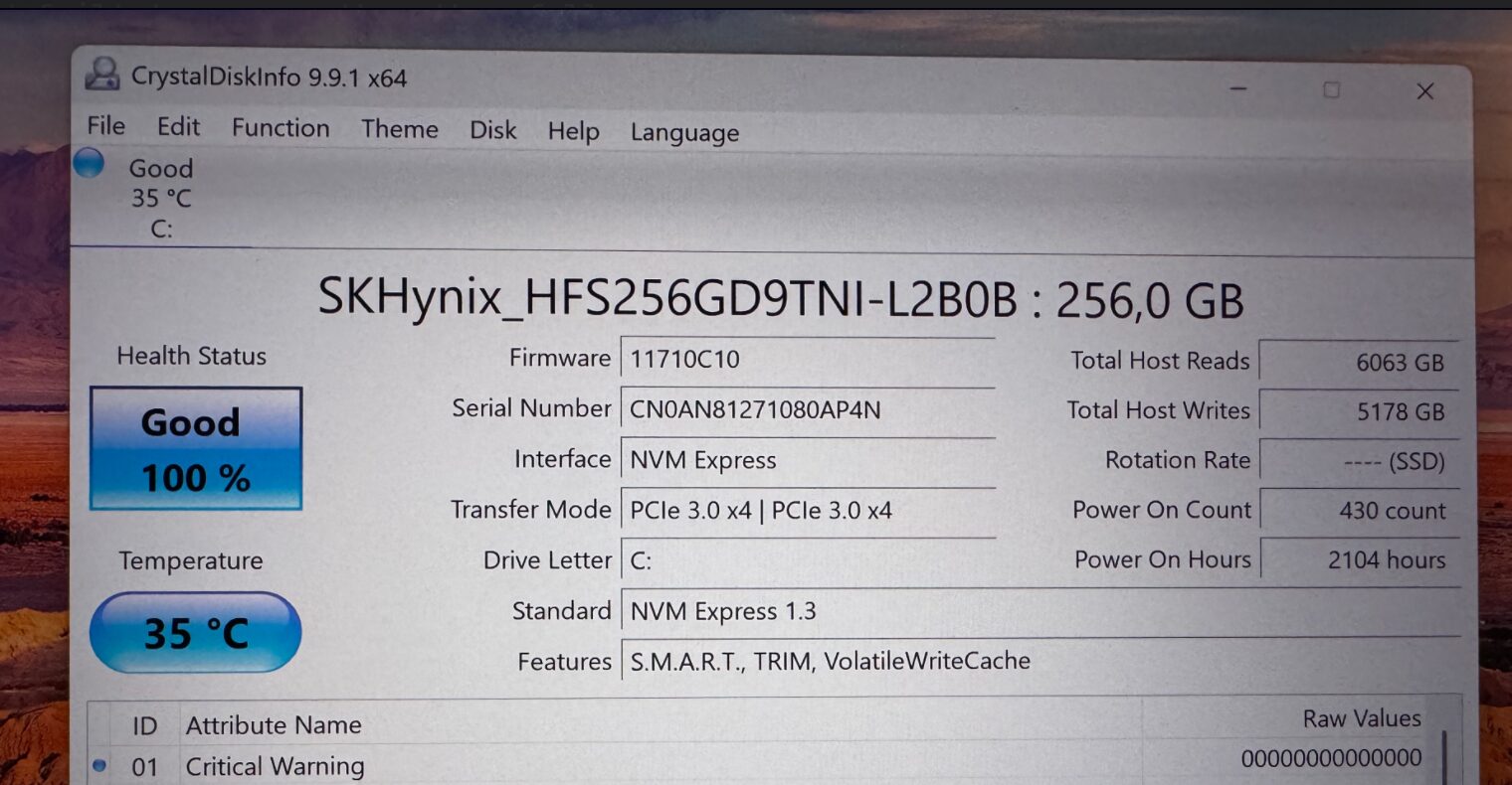 CrystalDiskInfo menunjukkan SK hynix 256GB dengan Health Status Good 100%